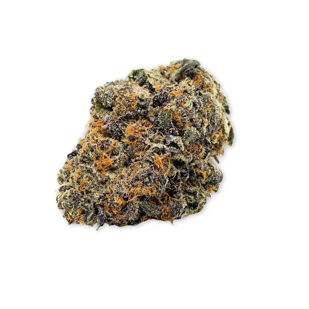 20% off at JK Distro with promo code WARMADVICE20