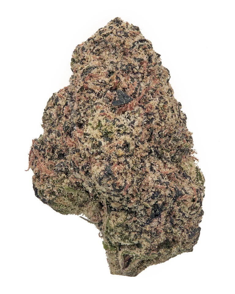 ARCHIVE RUNTZ (INDOOR) THC-A Flower at Black Tie CBD